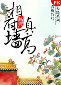 《相府墙真高》