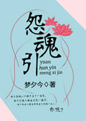 《怨魂引》