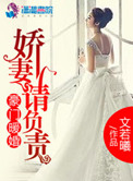 豪门暖婚之娇妻请负责图片