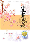 《皇家宠媳》