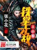 《铁掌无敌王小军》