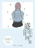 《盛年不再来》