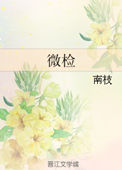 《微检》