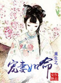 《重生之宠妻如命（作者：安酥）》