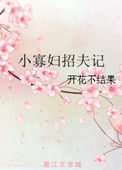 《小寡妇招夫记》