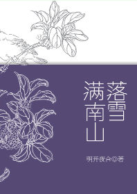 《落雪满南山》