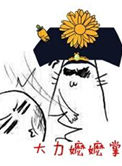大力嬷嬷掌图片