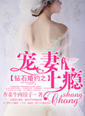 《钻石婚约之宠妻上瘾》
