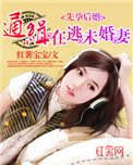 《先婚后孕：通缉在逃未婚妻》