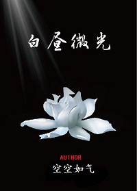 《白昼微光》