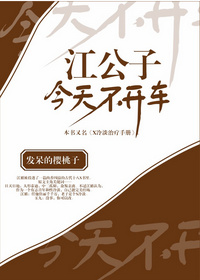《江公子今天不开车》