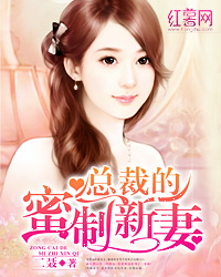 总裁的蜜制新妻小说
