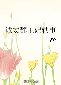 《诚安郡王妃轶事》