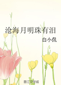 《沧海月明珠有泪》