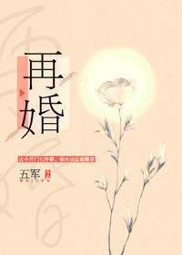 《再婚（耽美）》