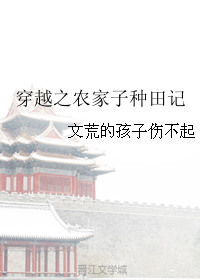 穿越之农家子种田记小说