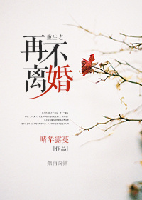 《重生之再不离婚》