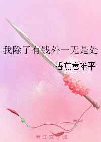 《我除了有钱外一无是处》
