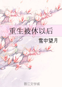《重生被休以后》