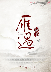 《雁过拔毛》