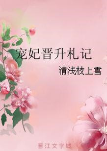 《宠妃晋升札记》