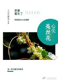 《心尖菟丝花[重生]》