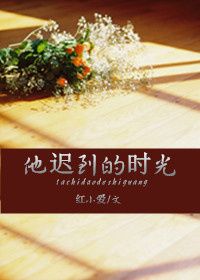 他迟到的时光图片