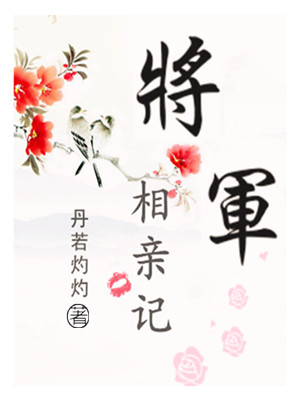 《将军相亲记》