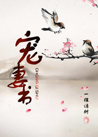 《宠妻书》