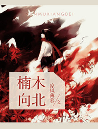 《楠木向北》