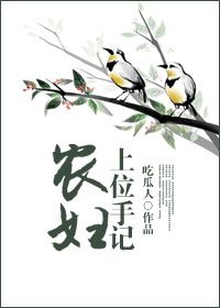 《农妇上位手记》