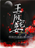 《王府宠妾》小说