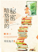 暗格里的秘密图片