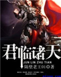 君临诸天