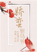 《娇蛮驸马爷》