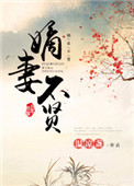 《嫡妻不贤》