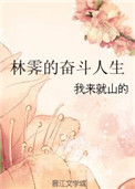 《林霁的奋斗人生》