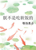 朕不是吃软饭的图片