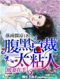 《暖妻在手：腹黑总裁太粘人》
