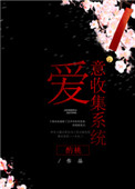 《爱意收集系统》