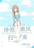 《待他乘风归来》