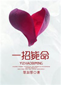 《一招毙命》