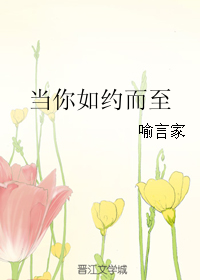 当你如约而至小说