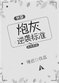 《炮灰逆袭标准（快穿）》
