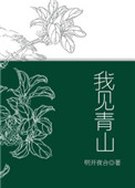 《我见青山》
