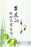 《翠花的种田农家生活》