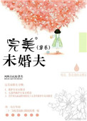 《完美未婚夫[穿书]》