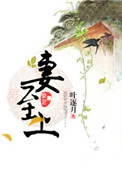 妻至上图片