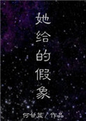 她给的假象小说