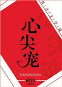心尖宠（娱乐圈）小说